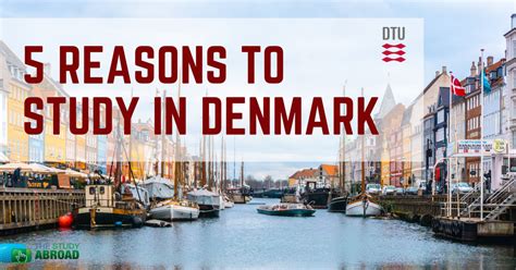 5 Reasons To Study In Denmark The Study Abroad Portal