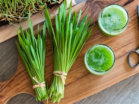 Enhance health benefits w/ our barley grass products. 9 Surprising Benefits of Barley Grass | Organic Facts