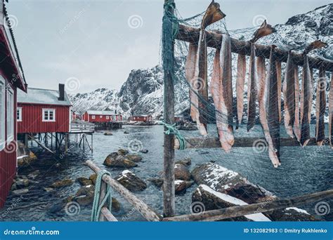 Drying Stockfish Cod In Nusfjord Fishing Village In Norway Stock Image