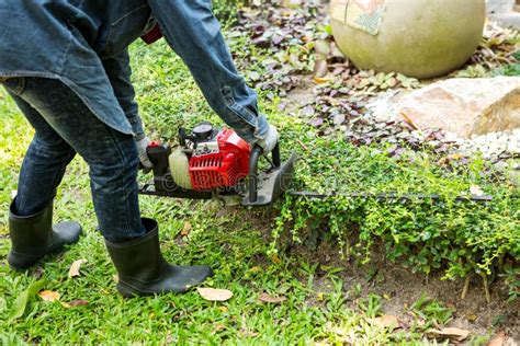 Man Trimming Hedge With Trimmer Machine Stock Photo Image Of Gardener