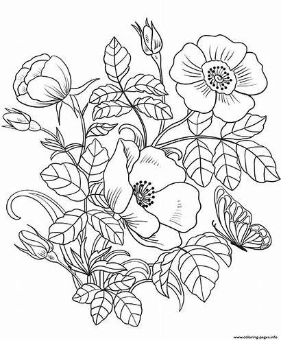 Coloring Flowers Spring Pages Printable Prints
