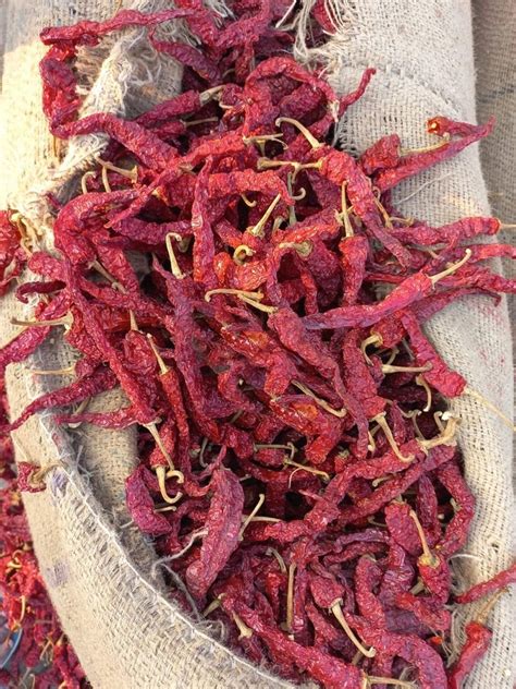 Kdl Dry Red Chillies At Rs 440kg Red Chilli In Guntur Id