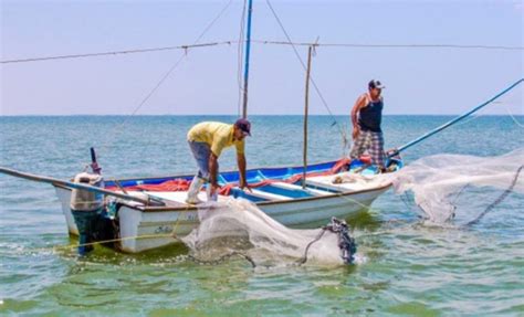 Buenas Noticias Con La Reactivación De La Pesca En Yucatán La Verdad