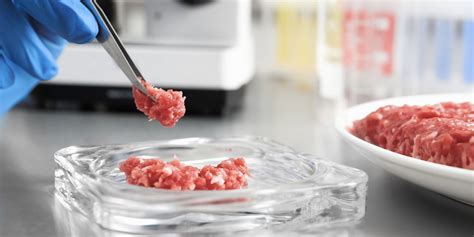 Carne Coltivata Il Divieto Sul Cibo Sintetico Legge Lifegate