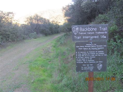 1000 Hikes In 1000 Days Day 75 Backbone Trail Encinal To Trancas Canyon