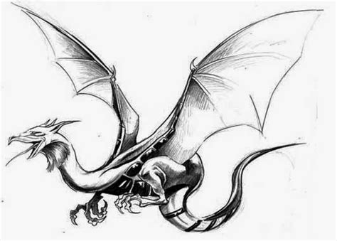 7 Best Images Of Flying Dragon Stencils Printable Dragon Stencil