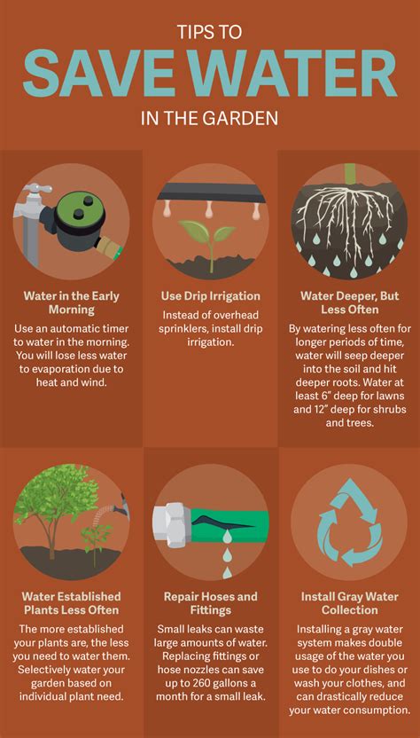 Gardening With Less Water During A Drought
