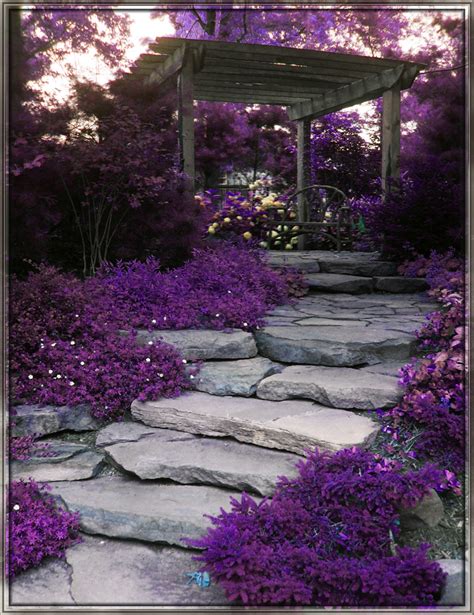 Rituals Beauty Naturally Beautiful Purple