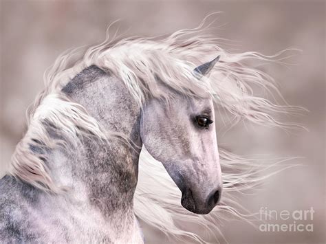 Dappled Grey Horse Head Profile By Elle Arden Walby Royalty Free And