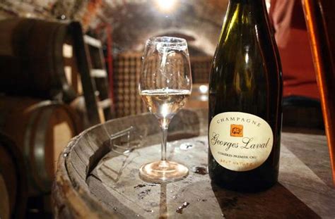 Wine Tasting Vineyards In France Georges Laval Champagne