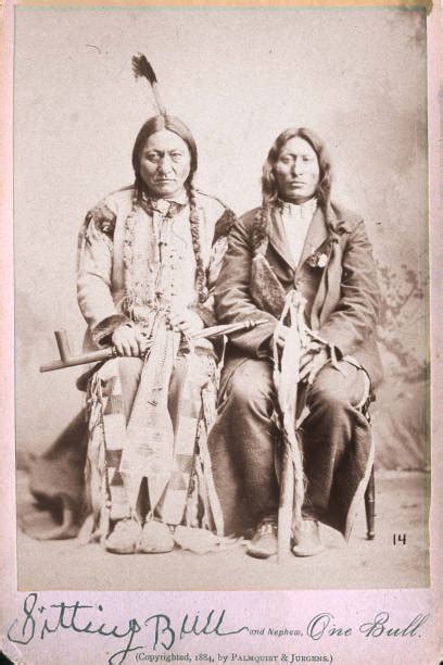 Sitting Bull And One Bull Pictures Getty Images