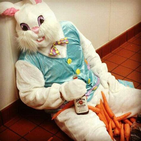 Damn It Easter Bunny Youre Drunk Go Home Freaky Pinterest