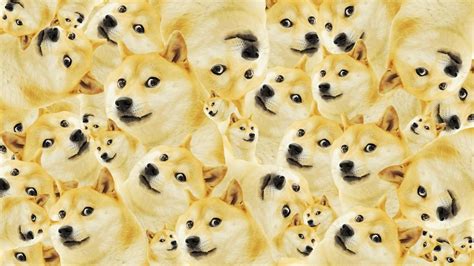 Dogecoin Wallpaper Android Alanis Willis