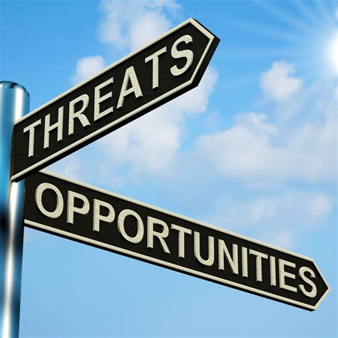State Of The Business Opportunities And Threats Dynamic Capita