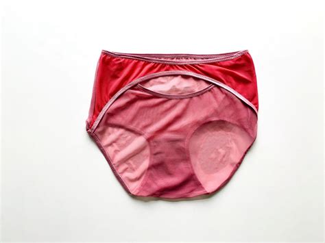 Pink Colors Hipster Style Sheer Panties With Dark Pink Mesh Etsy