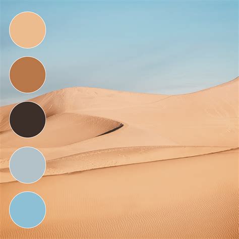 Color Palette From Desert Color Colorfull Palette Art Design