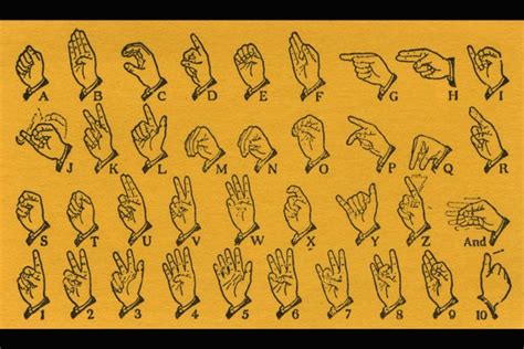 Sign Languages Display Distinct Ancestries Scientific American