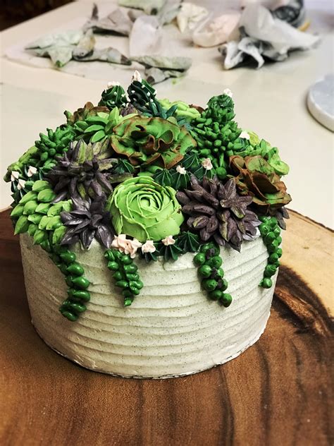 This Is My Favorite Cake I’ve Ever Made It’s A Succulent Cake I Made For Fun It Was A Blast