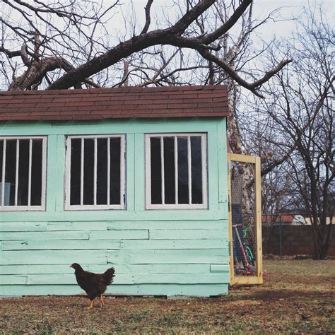 Chicken Coop Made From Palettes Vintage Windows Farm Life