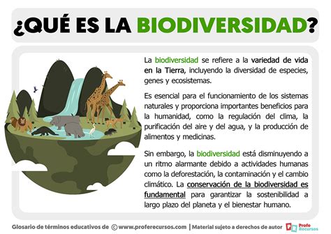 Qué es la Biodiversidad