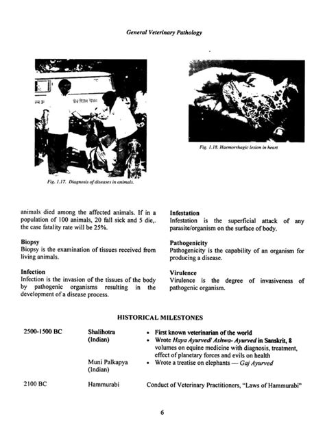 Illustrated Veterinary Pathology General And Systemic Pathology