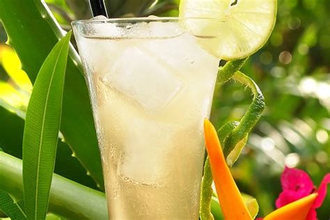 5 Lemon Lime Ginger Ale 10 Healthy Summer Drink Recipes