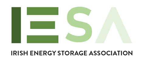 Electricity Storage Association Dandk Organizer