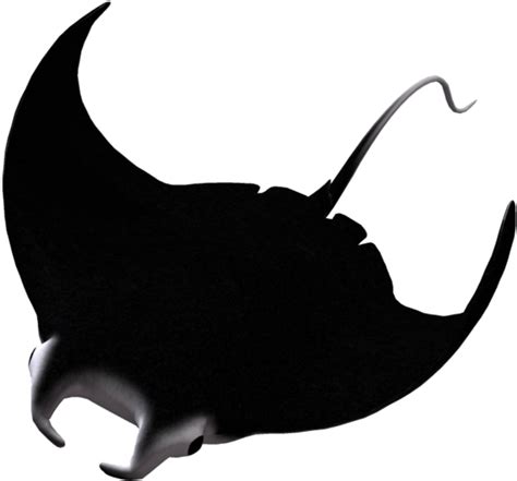 Manta Ray Silhouette At Getdrawings Clipart Full Size Clipart
