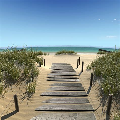 Ultra Realistic Beach Sand Scan 3d Model 12 Unknown Max Obj Fbx Free3d