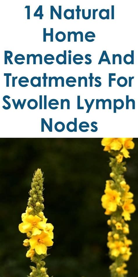 14 Natural Home Remedies And Treatments For Swollen Lymph Nodes This