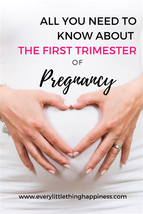What All You Need To Know About The First Trimester Of Pregnancy Every Little Thing Happiness