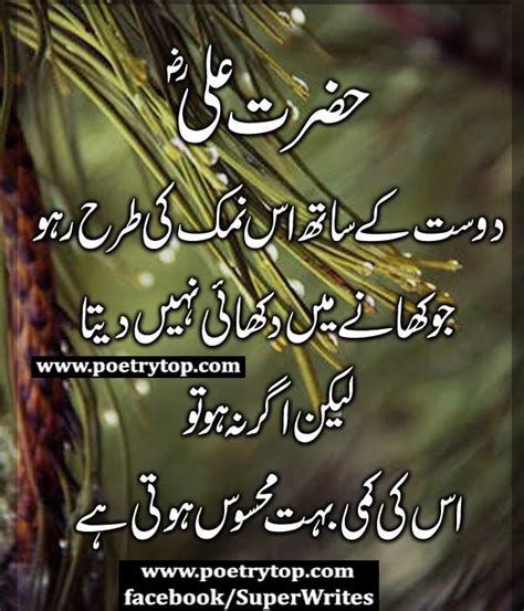 Hazrat Ali Quotes Ali Quotes Friendship Quotes In Urdu Imam Ali Quotes