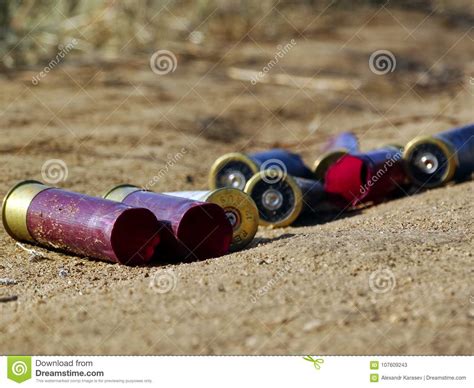 A Shell Casing From A Hunting Rifle Stock Image Image Of Ground