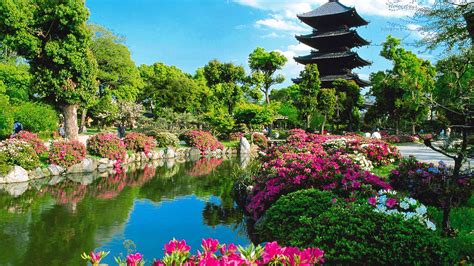 Kyoto Natural Japan Tourism Cool Places To Visit Beautiful Nature