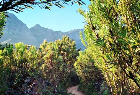 Home Of Epic Trails Helderberg Nature Reserve Will Be Open Again Soon