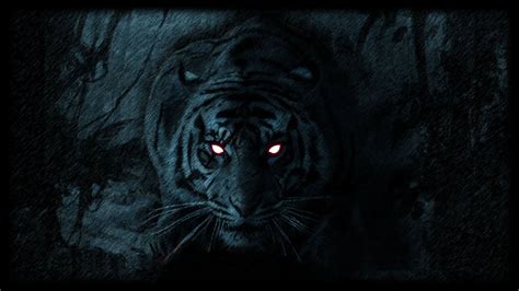 Life Of Black Tiger Wallpaper 6 By Mako176 On Deviantart
