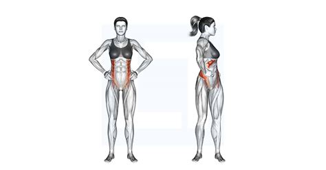 Middle Back Stretch Guide Benefits And Form
