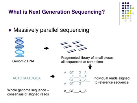 Next Generation Sequencing Schematic