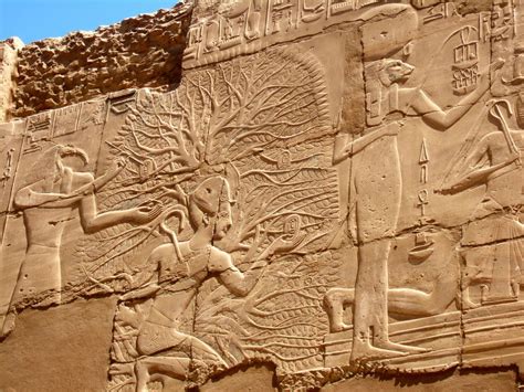 Tree Of Life Carving At Karnak Temple Sacred Tree Tree Of Life Tree