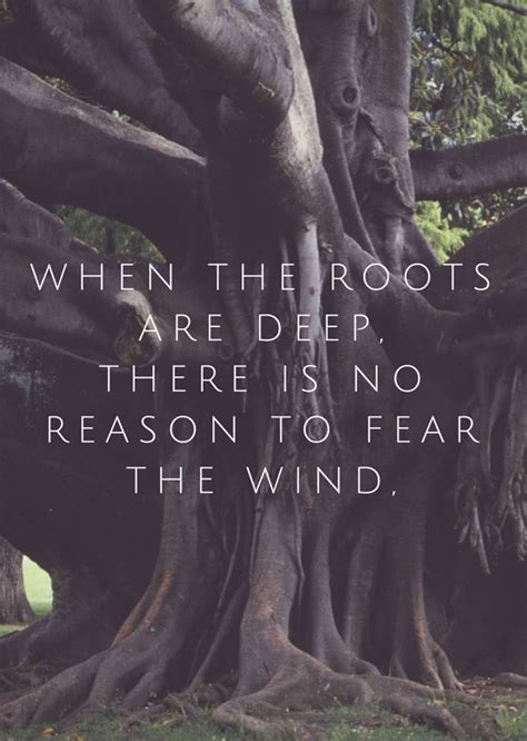 When The Roots Are Deep There Is No Reason To Fear The Wind Inspiring