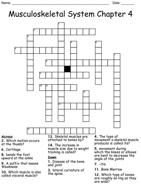 Musculoskeletal System Crossword Wordmint