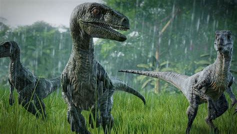 Velociraptor Jurassic World Evolution 2 7 Fakta Menarik