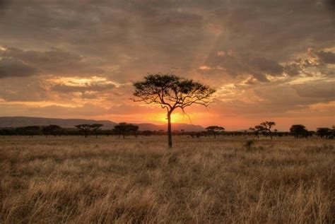 Beautiful Sunset At Kruger National Park Nostalgie