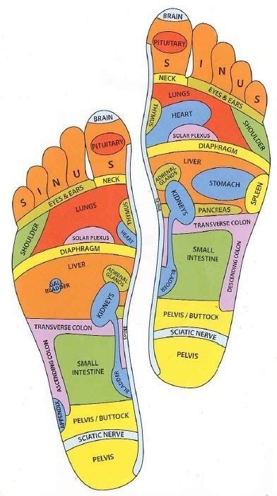 Reflexology Map Of Foot Map Of The World