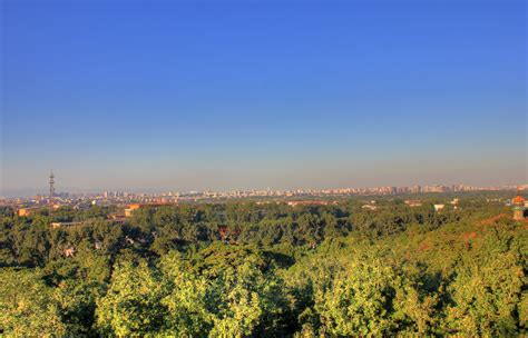 Forest With Skyline In Beijing China Image Free Stock Photo Public