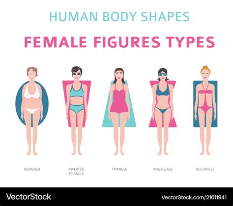 Woman Body Types Set Of Body Shape Types Vector Image The Best Porn