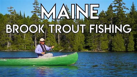 Maine Spring And Summer Brook Trout Fishing Youtube