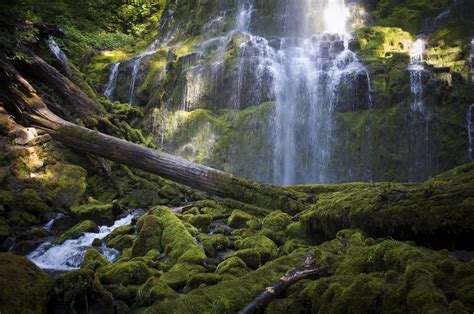 Proxy Falls Oregon Thomas Shahan Flickr