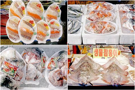 Foodagraphy By Chelle Korea 2014 노량진 수산시장 Noryangjin Fish Market