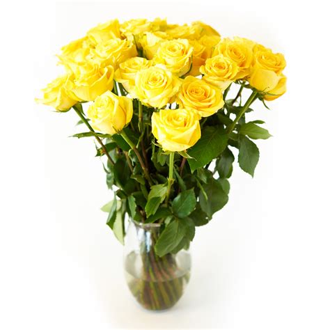 yellow-roses-flower-bouquet-24-yellow-roses-long-stem-2-dozen-roses-beautiful-yellow-roses